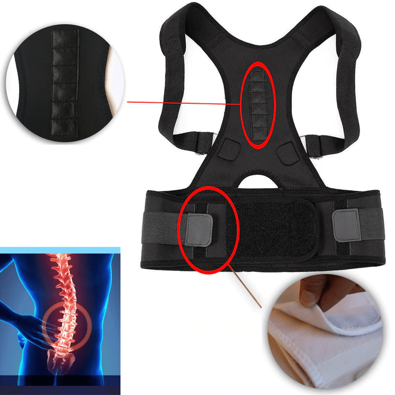 Back Support Brace – Adjustable Lightweight Design-Field & Wild