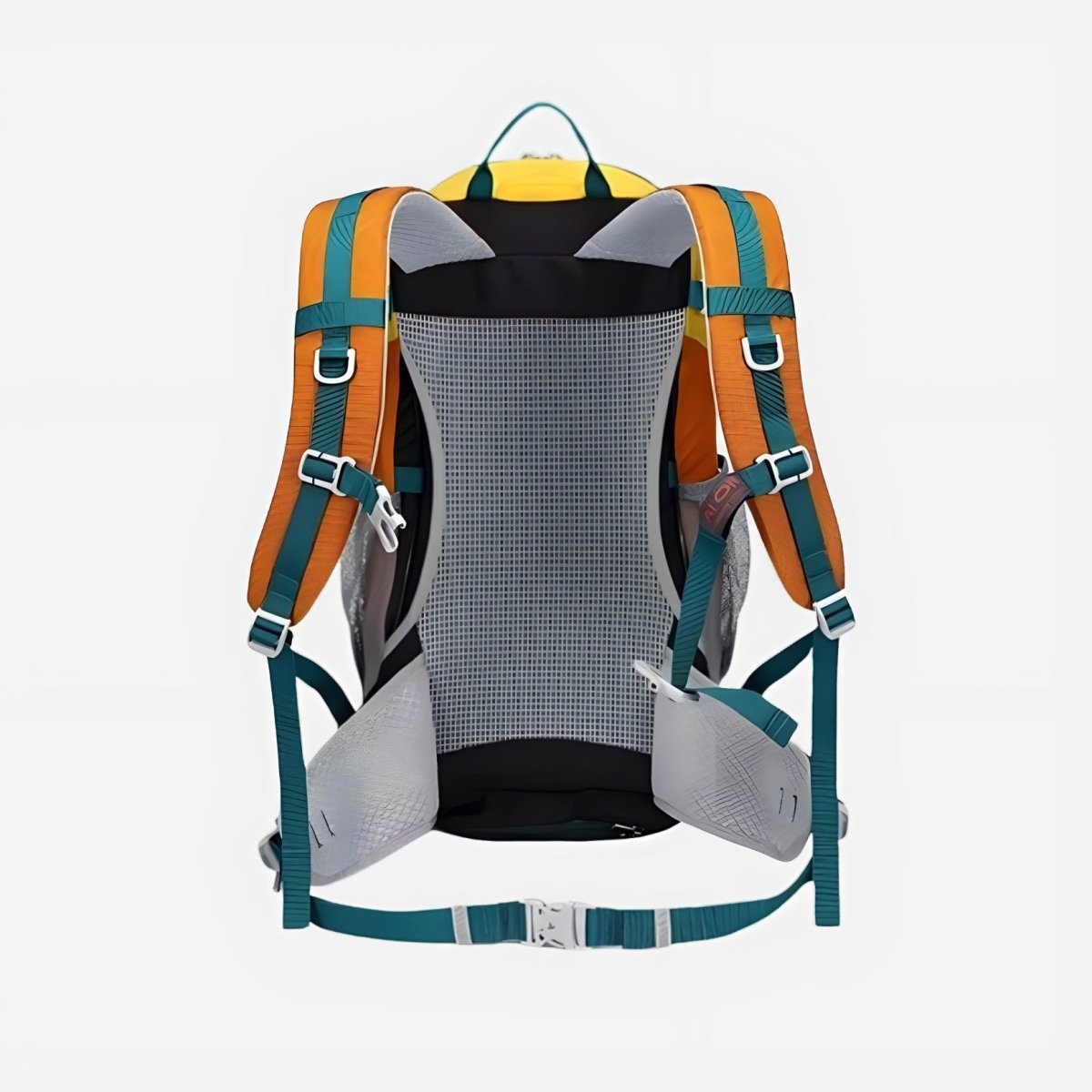 Water-Resistant 30L Day Hiking Backpack with Adjustable Straps-Field & Wild