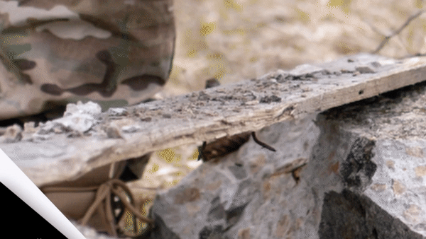 Tactical Gloves Reinforced Impact-Resistant | Active Peaks-Field & Wild