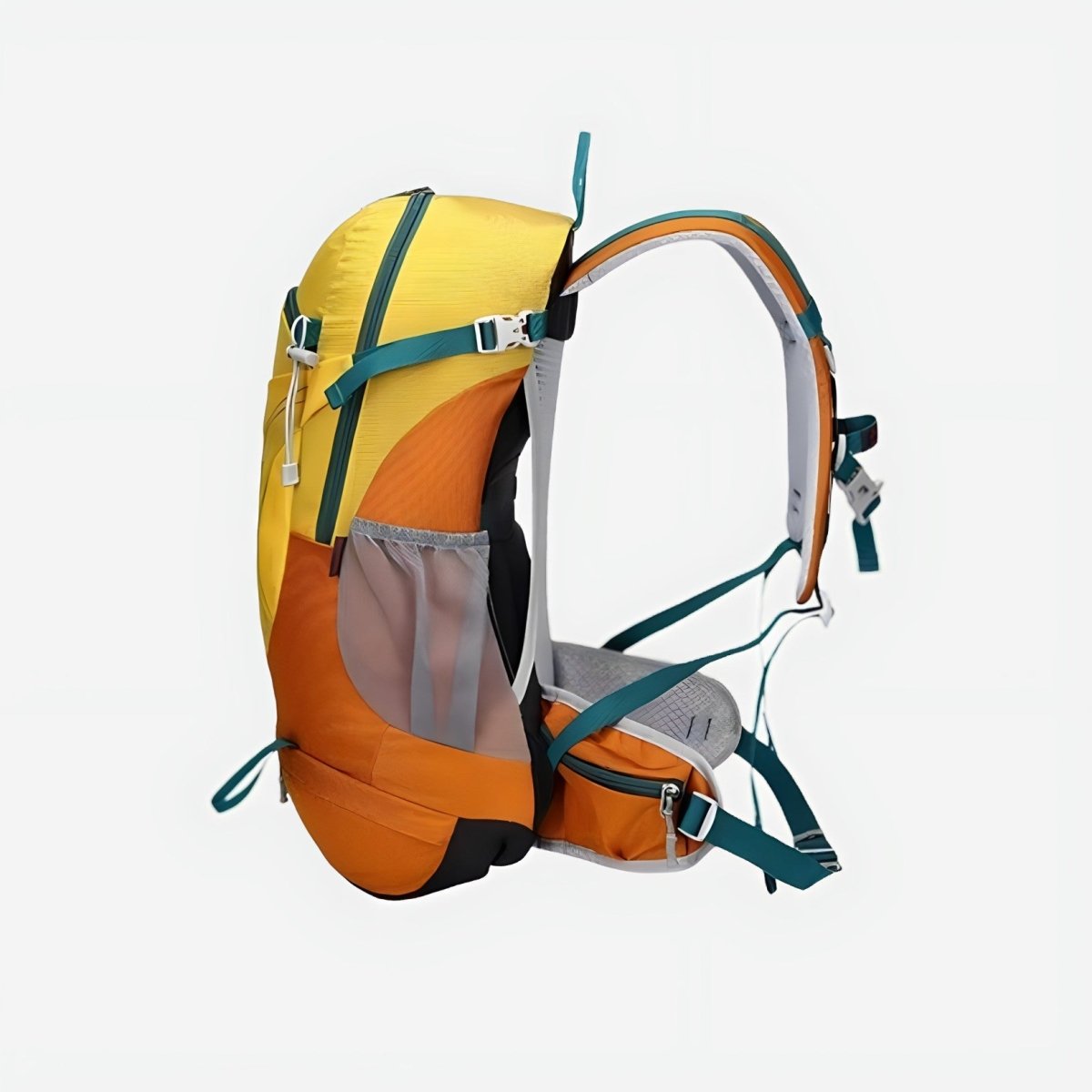 Water-Resistant 30L Day Hiking Backpack with Adjustable Straps-Field & Wild